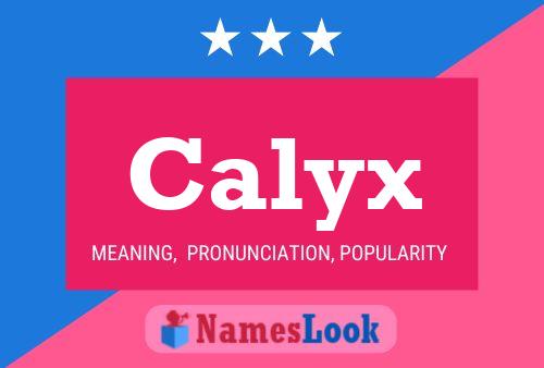 Calyx Name Poster