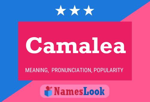 Camalea Name Poster