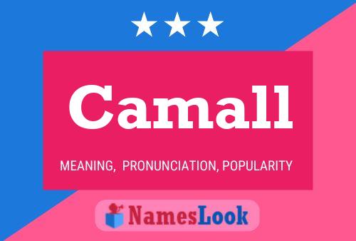 Camall Name Poster