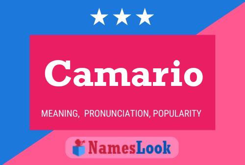 Camario Name Poster