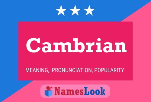 Cambrian Name Poster