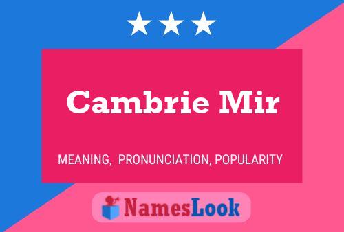 Cambrie Mir Name Poster