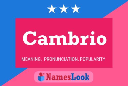 Cambrio Name Poster