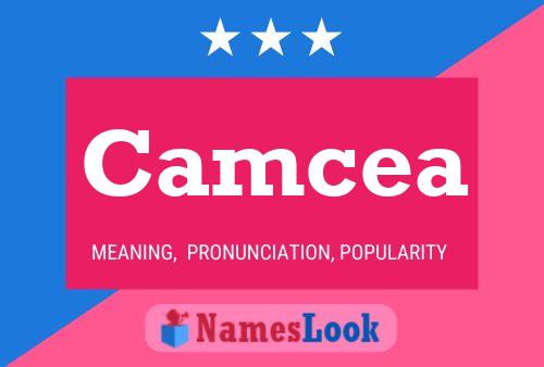 Camcea Name Poster