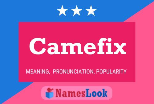 Camefix Name Poster