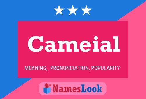 Cameial Name Poster