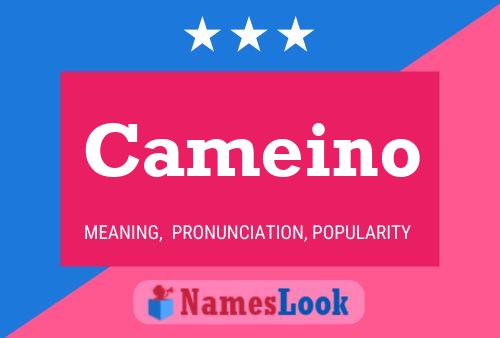 Cameino Name Poster