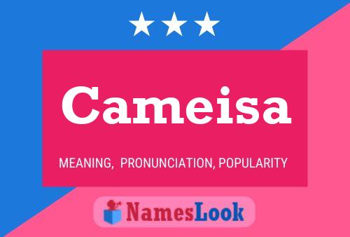 Cameisa Name Poster