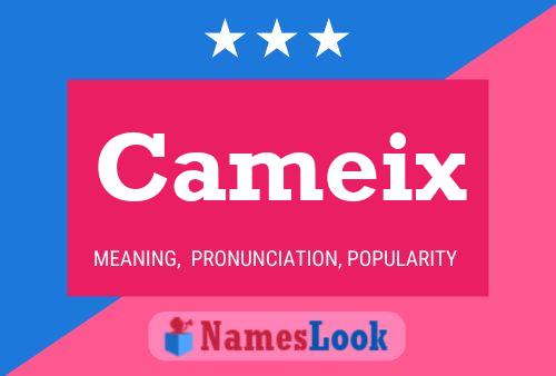 Cameix Name Poster