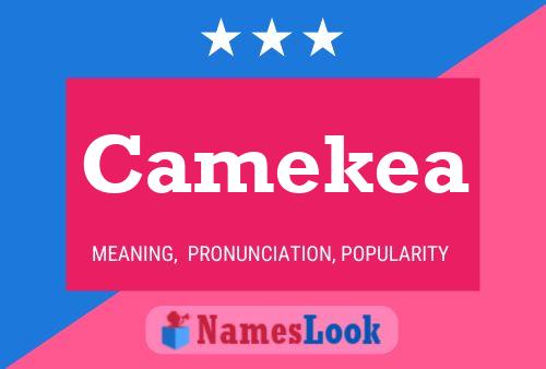 Camekea Name Poster