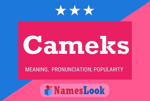 Cameks Name Poster