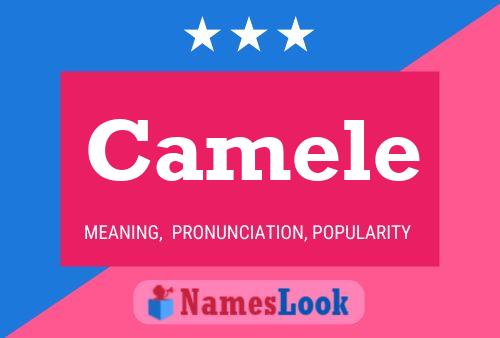 Camele Name Poster