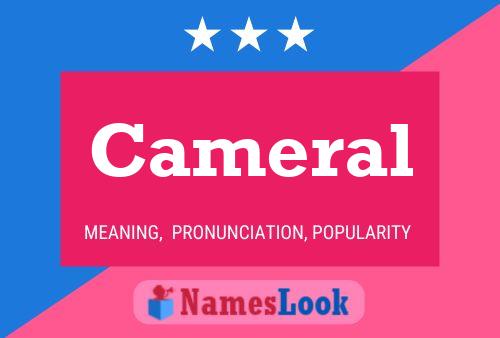 Cameral Name Poster