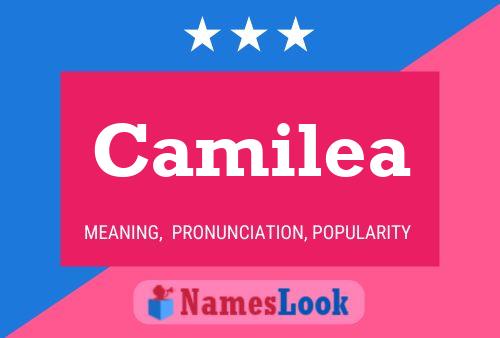 Camilea Name Poster