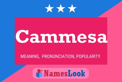 Cammesa Name Poster