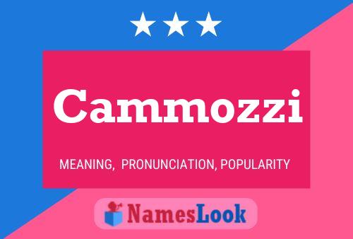 Cammozzi Name Poster