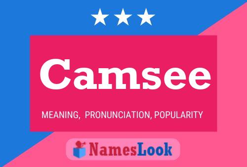 Camsee Name Poster