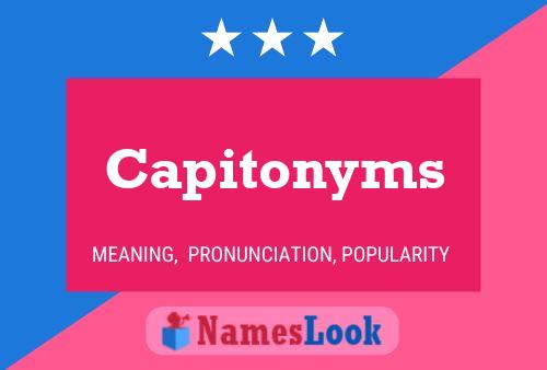 Capitonyms Name Poster