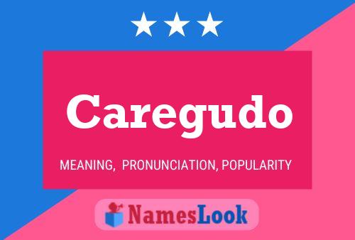 Caregudo Name Poster