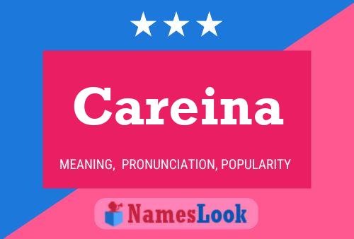 Careina Name Poster