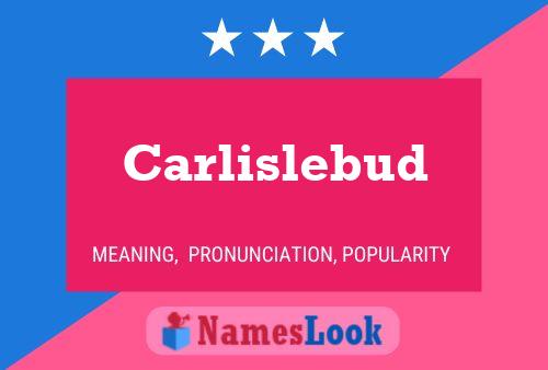 Carlislebud Name Poster