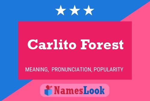 Carlito Forest Name Poster