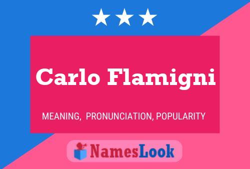 Carlo Flamigni Name Poster