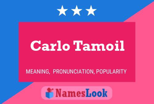 Carlo Tamoil Name Poster