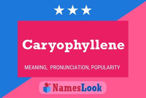 Caryophyllene Name Poster