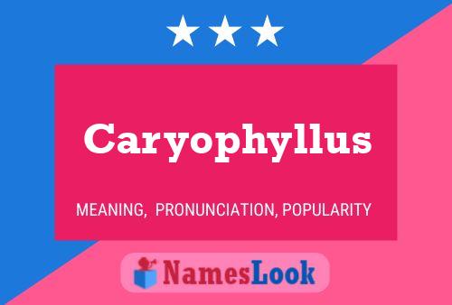 Caryophyllus Name Poster