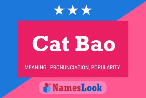 Cat Bao Name Poster