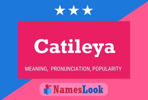 Catileya Name Poster