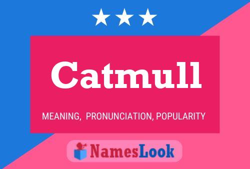 Catmull Name Poster