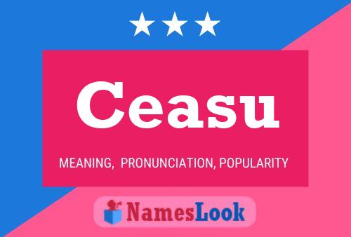 Ceasu Name Poster