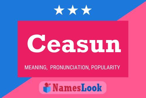 Ceasun Name Poster