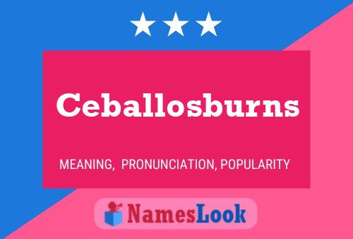 Ceballosburns Name Poster