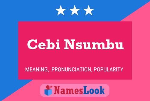 Cebi Nsumbu Name Poster