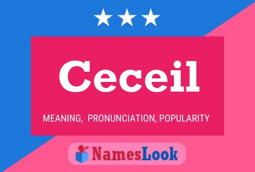 Ceceil Name Poster