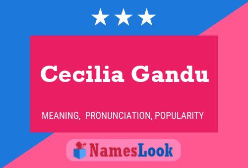 Cecilia Gandu Name Poster