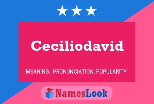 Ceciliodavid Name Poster