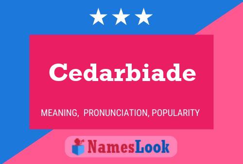 Cedarbiade Name Poster