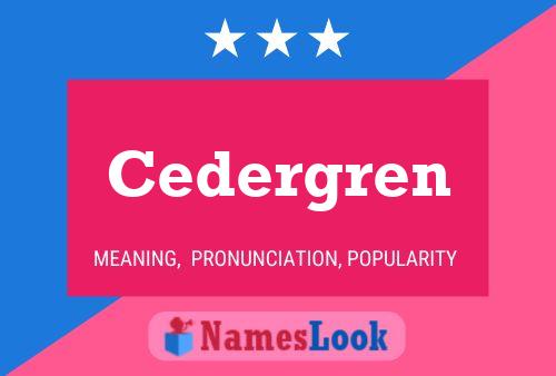 Cedergren Name Poster