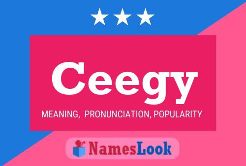 Ceegy Name Poster