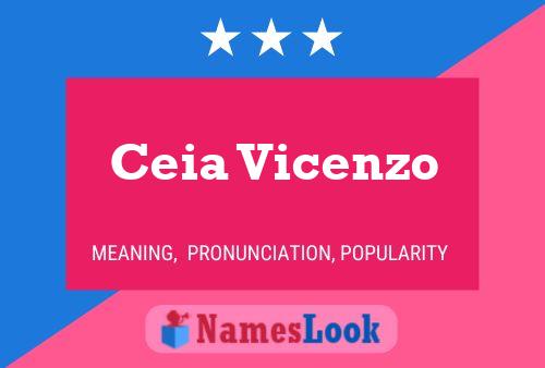 Ceia Vicenzo Name Poster