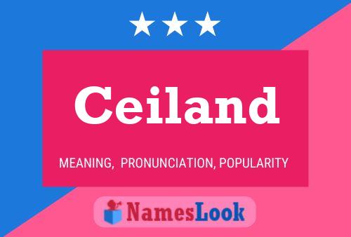 Ceiland Name Poster