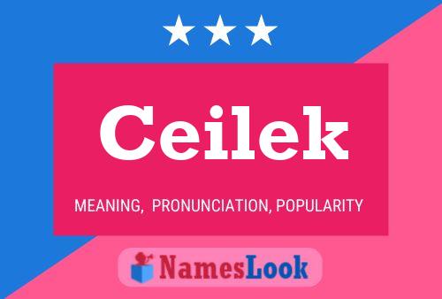 Ceilek Name Poster