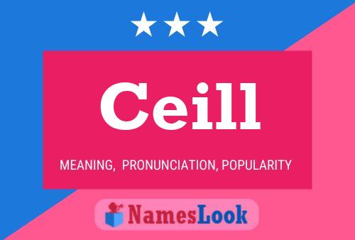 Ceill Name Poster