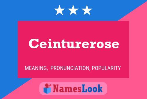 Ceinturerose Name Poster