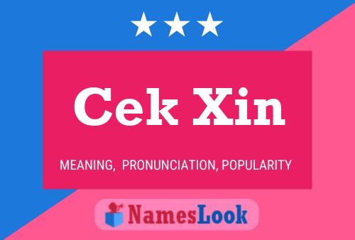 Cek Xin Name Poster