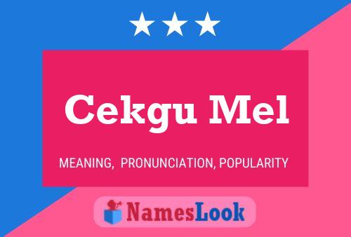 Cekgu Mel Name Poster